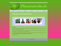 pflanzen-studio.de Webseite Vorschau