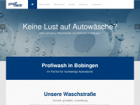 profiwash.de Webseite Vorschau