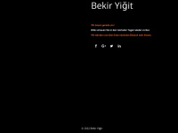 yigit-consulting.de Webseite Vorschau