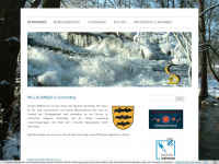 schirnding.info Webseite Vorschau