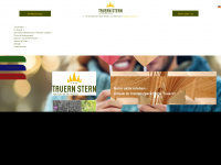 tauernstern.at Webseite Vorschau