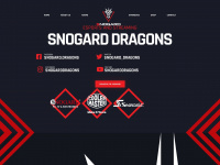 snogard-dragons.de Webseite Vorschau