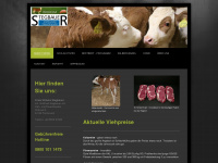 stegbauer-online.de Webseite Vorschau
