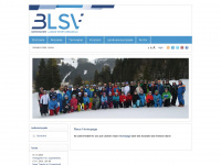 blsv-cham.de Webseite Vorschau