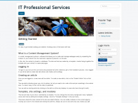 It-professional-services.de