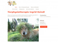 tierphysiotherapie-bayern.de Webseite Vorschau