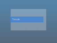 tora.de Webseite Vorschau