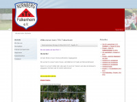 frauenfussball-nuernberg.de Webseite Vorschau