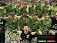 schleissheim-handball.de Webseite Vorschau
