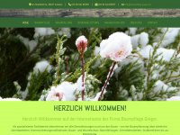 baumpflege-gregor.de Webseite Vorschau