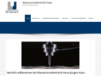 wst-haas.de Webseite Vorschau