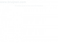bruijnen.com Webseite Vorschau