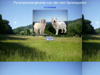 Pyrenaeenberghund-walddorf.de