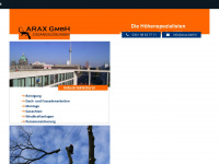 araxweb.com Webseite Vorschau
