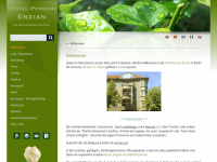 hotel-pension-enzian.de Webseite Vorschau