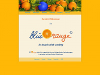 blue-orange.de Webseite Vorschau