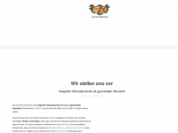 carl-zeiss-oberschule.de Webseite Vorschau