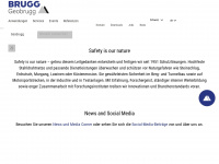 geobrugg.com Webseite Vorschau