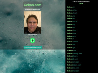 gekon.com Webseite Vorschau