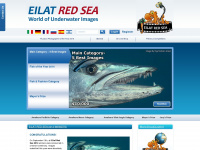 Eilatredsea.com