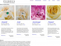 heidi-fudeus.de Webseite Vorschau