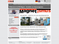 ibsmagnet.de Webseite Vorschau