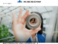 kiesow.org Webseite Vorschau