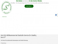 statistik-service.de Webseite Vorschau