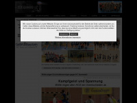 handballfreunde-mtv.de Webseite Vorschau