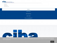 ciba-cottbus.de Webseite Vorschau