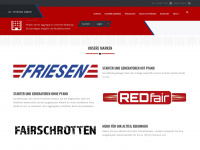 friesen-team.de Webseite Vorschau