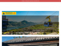 waldibahn.ch Webseite Vorschau