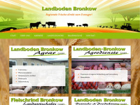 landboden-bronkow.de Webseite Vorschau