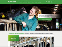 spinder.nl Webseite Vorschau