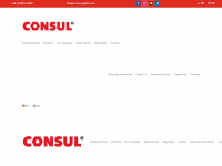 consul-gmbh.com Webseite Vorschau