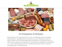 muehlenberger.de Webseite Vorschau