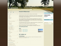 paewesin.de Webseite Vorschau