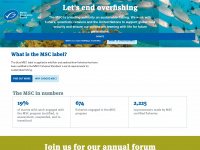 msc.org Webseite Vorschau