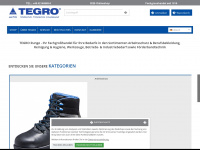 tegro-runge.de Webseite Vorschau