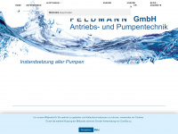 feldmann-pumpen.de Webseite Vorschau