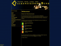 falkensteiner.ch Webseite Vorschau