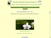 orchideen-amsler.ch Webseite Vorschau