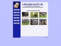 labradorzucht.de Webseite Vorschau