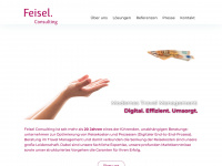 feisel-consulting.de Webseite Vorschau