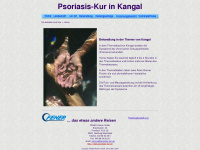 psoriasis-kur.de Webseite Vorschau