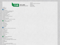 spillner-ssb.de Webseite Vorschau