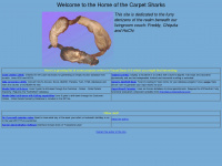 carpet-sharks.com Webseite Vorschau