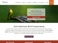 abcbirds.org Webseite Vorschau