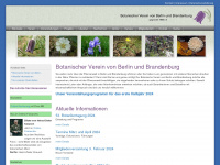 botanischer-verein-brandenburg.de Webseite Vorschau