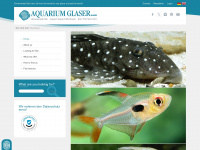 aquariumglaser.de Webseite Vorschau